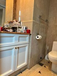 Valley Park (D10), Condominium #629794881